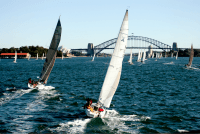 yachts sailing towards Sydney Harbour Bridge
